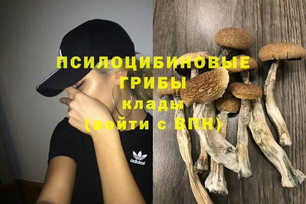 ешки Алексеевка