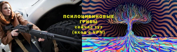 ешки Алексеевка