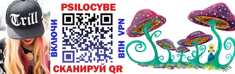 где можно купить наркотик  Россошь  Псилоцибиновые грибы мухоморы 